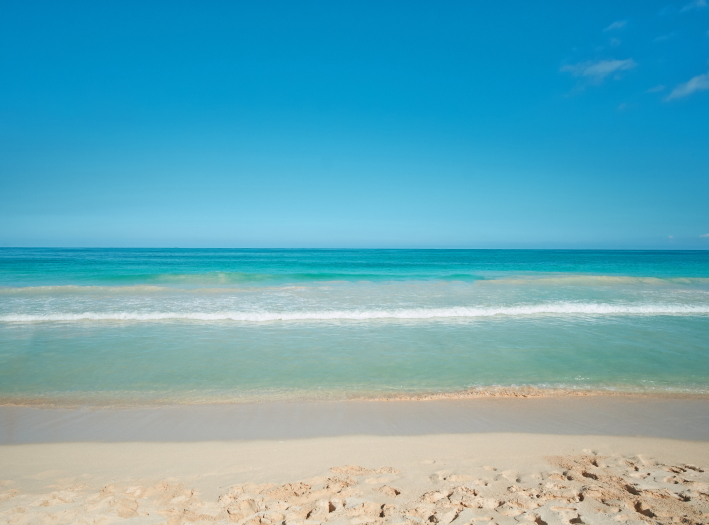 Vistas a la playa